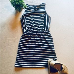 Ann Taylor LOFT Knit Mini Dress